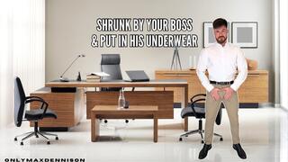 shrunk by your boss & put in his underwear