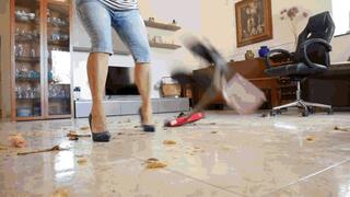 Mess in the house WMV (1920x1080) FHD
