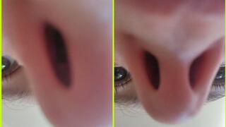Flaring Nostrils Up Close