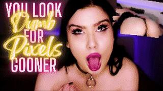 You Look Dumb For Pixels Gooner (Loser Porn, Censored, Gooning, Humiliation)