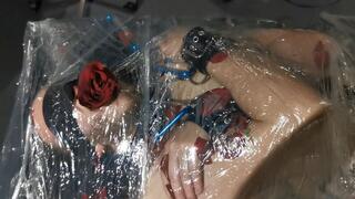 Session Impression with Pingu (WMV)