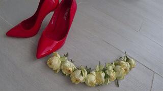 I crushed a lot of roses with red shoes a