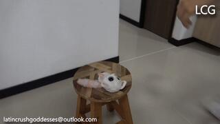 Plush Toy Crushed By Jana And Liz