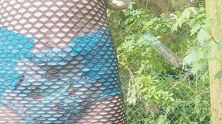 Tinylittlebabyg's pre club dance in the garden