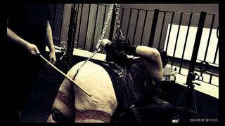 500 STROKES AN HOUR AND A QUARTER OF RELENTLESS PUNISHMENT AND REWARD