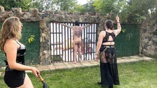 Relentless, infernal bulwhipping with extra marks