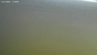 Young Nadin in the boat