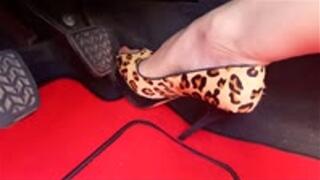 bringing my car back to life