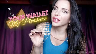 Your Wallet, My Pleasure