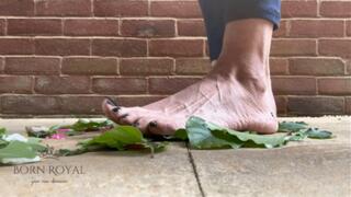 Giantess crushes leaves