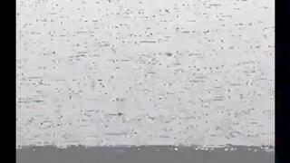 Ava Onyx's Bizarre Love Triangle