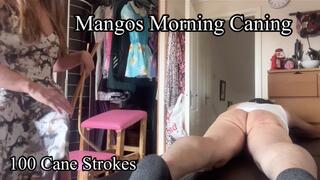 Mango's Morning Caning