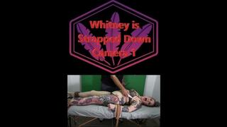 Whitney is Strapped Down Camera 1 MP4
