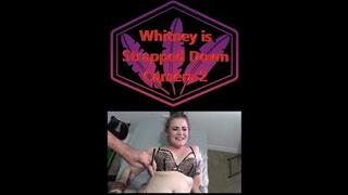 Whitney is Strapped Down Camera 2 MP4