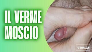 il verme moscio