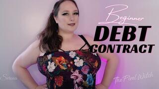 Beginner Debt Contract