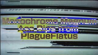 Monochrome Magnum Ass Rips