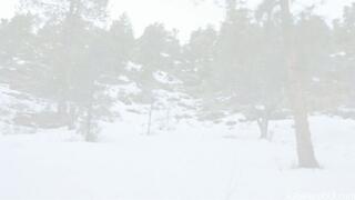 The Elusive Snow Bunny