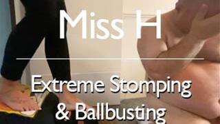 Extreme Stomping & Ballbusting (Close up)