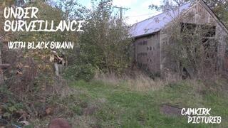 Under Surveillance with BlackSwann