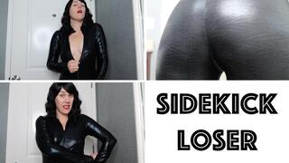 Sidekick Loser (WMV)