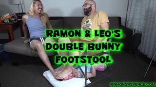 Ramon and Leo's Double Bunny Footstool!
