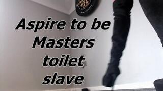 Aspire to be Maters toilet(WMV)