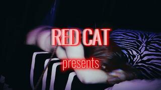 Stranger Cums Same Moment When Push His Big Dick Into Mature Tight Slut ???? Inseminate Her!