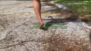 CLEAN MY DIRTY FEET VOL 7 FV
