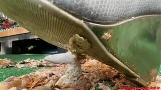 Destroying a COCK wmv