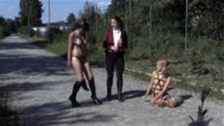 Ponygirl Training - mp4 1080p