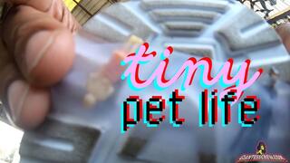 Giantess Crew – CJ – Tiny Pet Life