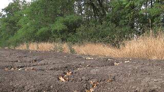 Heels stuck into the ground c