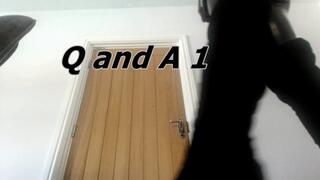 Q and A 1 (WMV)
