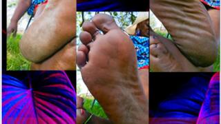 Outdoor soles and soul