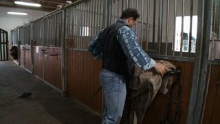 Fabulous woman rewards the stable boy