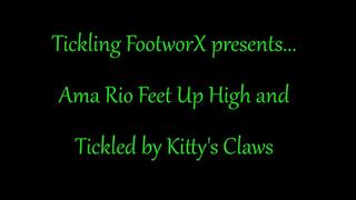 Ama Rio Feet up High Tickled by Kitty's Claws