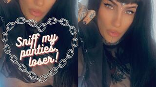 SNIFF MY PANTIES, LOSER!