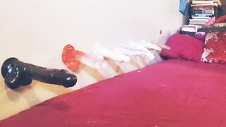 7 Dildos On The Wall (So many choices)