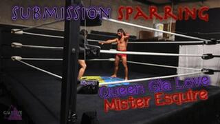 Submission Sparring (MP4 1080P)