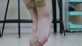 YT2491 Flying Beluga