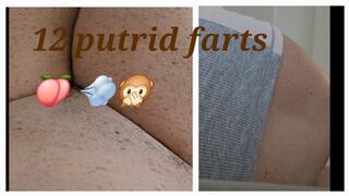 12 PUTRID FARTS