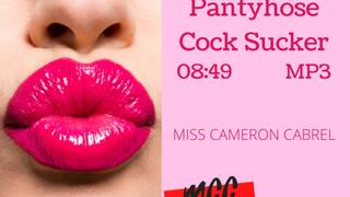 Pantyhose Cock Sucker (Audio MP4)