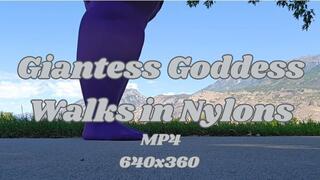 SSBBW Giantess Goddess Rachet Rachel Walks in Nylons Outside and Weighs In MP4 640x360
