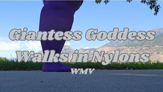 SSBBW Giantess Goddess Rachet Rachel Walks in Nylons Outside and Weighs In WMV