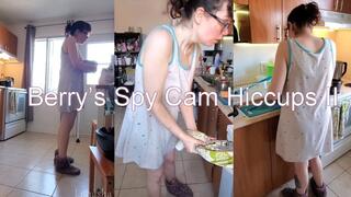 Berry’s Spy Cam Hiccups II