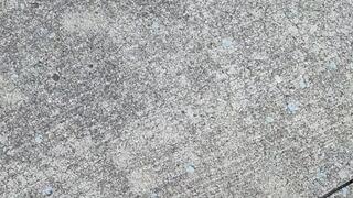 Tempest walking to bus stop