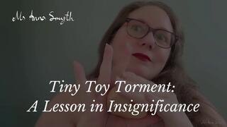 Tiny Toy Torment: A Lesson in Insignificance