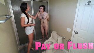 Pay or Flush