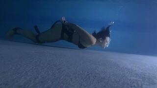 The Stalker Fourteen HD